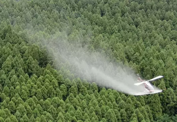 スギ花粉の苦しみからついに解放？花粉飛散防止薬の散布実験！