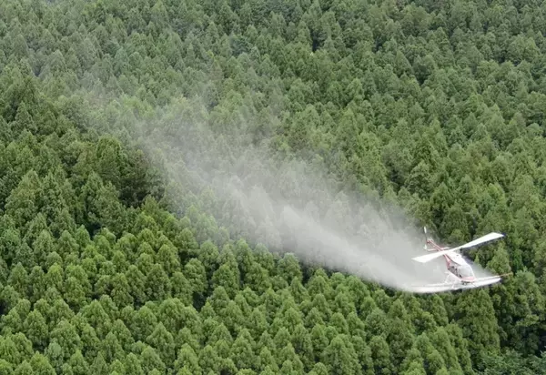 「スギ花粉の苦しみからついに解放？花粉飛散防止薬の散布実験！」の画像