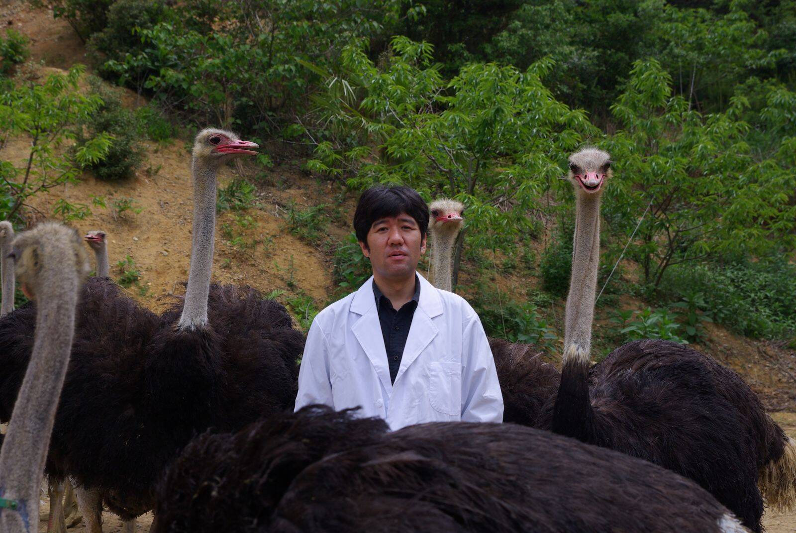 光るマスクで、新型コロナを判別！？