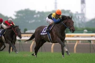 キングカメハメハ「その血が日本競馬の主流血脈のひとつとなった変則二冠馬」【もうひとつの最強馬伝説】