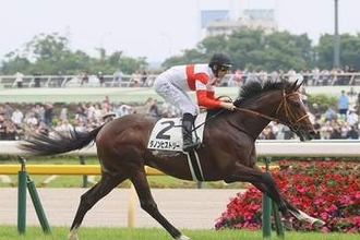 【菊花賞】覚醒ダノンヒストリーがロブチェン三冠阻止へ！鞍上は菊3連覇中のルメール騎手