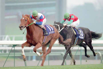 グラスワンダー「現役時も引退後も変わらない泰然自若とした態度」【もうひとつの引退馬伝説】