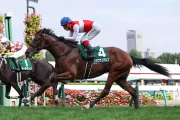 【ホープフルS】札幌2歳S覇者ショウナンガルフ 力の要る馬場は得意中の得意！2歳王者の冠を掴むか