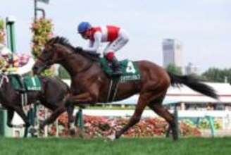 【ホープフルS】札幌2歳S覇者ショウナンガルフ 力の要る馬場は得意中の得意！2歳王者の冠を掴むか