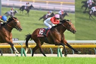 【菊花賞】武豊が三冠阻止の刺客に！コントレイル産駒ゴーイントゥスカイと狙う歴代単独最多6勝目
