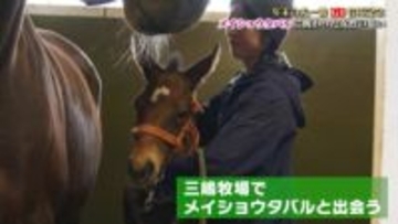 【有馬記念】「タバルへの声援が嬉しかった」メイショウタバルを生んだ母馬と北海道で暮らす女性の思い