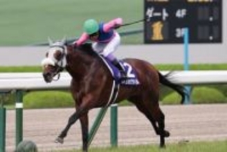 【有馬記念】ファン投票1位・メイショウタバル 春秋グランプリ制覇へ！天国の先代オーナーに勝利のプレゼントを