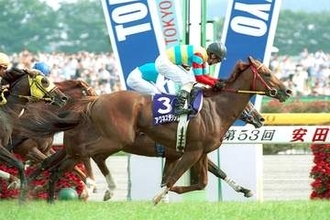 アグネスデジタル「場所もコースも問わず大活躍した二刀流」【もうひとつの最強馬伝説】