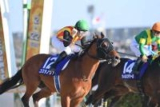 【フェブラリーS】コスタノヴァが史上3頭目の連覇達成！チャンピオン同士の叩き合いを制す