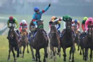 ブラストワンピース 馬術競技でも大活躍中の「重戦車」ブラピはヤンチャで人懐っこい【もうひとつの引退馬伝説2】