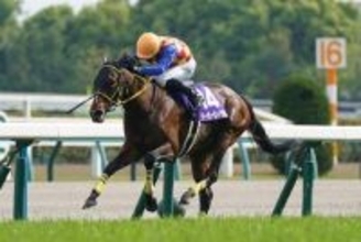 天皇賞・春優勝馬 テーオーロイヤル「憧れた舞台で最高のパートナー共にGI初制覇」【もうひとつの名勝負伝説】