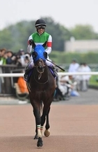 【安田記念】約束の地にたどり着いた幸運の6勝目