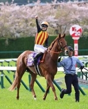 【桜花賞】スターアニスが圧巻V！心身ともに成長した2歳女王が完全無欠の走りで桜の女王に