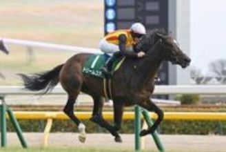【桜花賞】ドリームコア C.ルメール騎手を背に母ノームコアが突き抜けたマイルでGI初制覇なるか！？