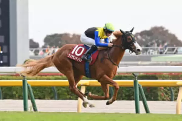 【朝日杯FS】未来のスピードスター・ダイヤモンドノット 福永祐一調教師×C.ルメール騎手のタッグで2歳マイル王へ