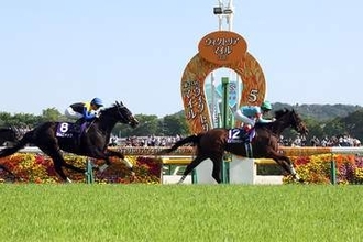 【ヴィクトリアM】現役最強牝馬エンブロイダリーが快勝！変幻自在の走りで魅せる、華麗なる女王の舞