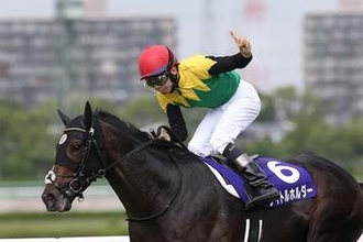 タイトルホルダー「引退しても走る気満々の快速ステイヤー」【もうひとつの引退馬伝説2】