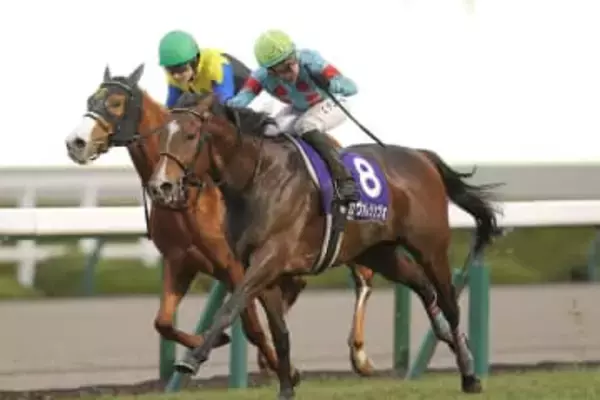 【朝日杯FS】カヴァレリッツォが2歳マイル王者！好騎乗のC.デムーロ騎手「ホントウにオモシロイ」