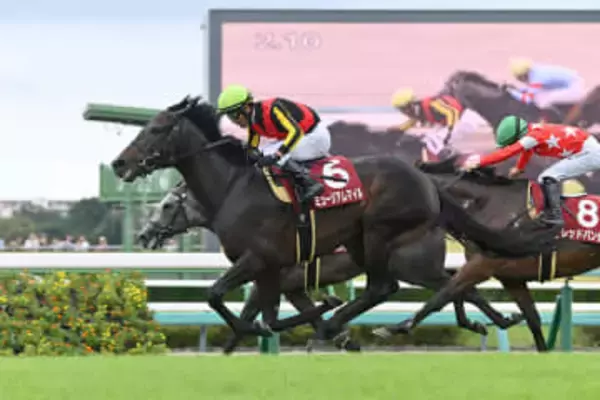 【有馬記念】世代交代を狙う！今年の皐月賞馬・ミュージアムマイルが虎視眈々！距離克服なるか