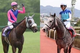 【凱旋門賞 見どころ】メイショウタバル、アドマイヤテラ 秋のパリで日本競馬界の悲願達成なるか