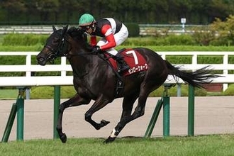 【秋華賞 みどころ】桜花賞馬もオークス馬もいない一戦 春の既存勢力vs夏の上がり馬軍団 制するのはどちか！？
