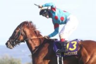 【香港ヴァーズ】菊花賞馬アーバンシック 海外で復活Vなるか！？ 凱旋門賞3着のソジー、ゴリアット、ジアヴェロットら多士済々のメンバーが揃う