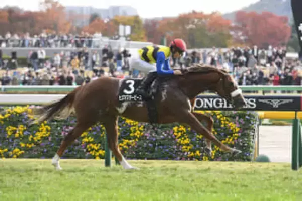 【阪神JF】ヒズマスターピース 名伯楽・国枝栄調教師の黄金ローテで才能開花へ