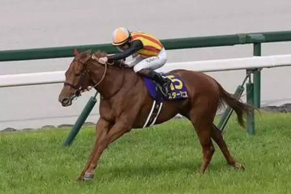 【桜花賞】1番人気スターアニスが直線一閃で圧勝！2番人気ドリームコアは直線伸び切れず9着に沈む