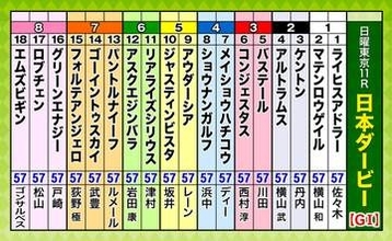 第93回日本ダービー（東京優駿）（GI）枠順