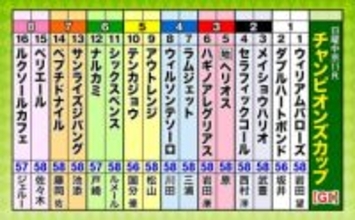 第26回チャンピオンズカップ（GI）枠順