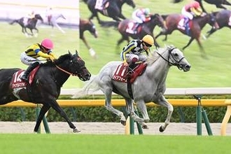 【安田記念 見どころ】目指すは頂点。マイル界の真の王者に向けて邁進するのは