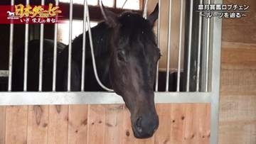 【日本ダービー】目指せ二冠制覇！史上最速の皐月賞馬・ロブチェンのルーツとは