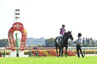 【菊花賞 みどころ】難攻不落の菊の頂に昇り詰めるのは...