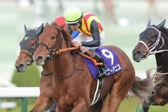 【桜花賞】2歳女王スターアニスは母譲りのスピードで一冠目を狙う！