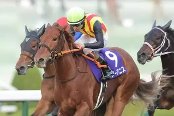 【桜花賞】2歳女王スターアニスは母譲りのスピードで一冠目を狙う！