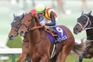 【桜花賞】2歳女王スターアニスは母譲りのスピードで一冠目を狙う！