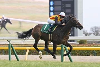 【秋華賞】ドリームコア 条件はピッタリ！本来の力を出し切り最後の一冠奪取へ