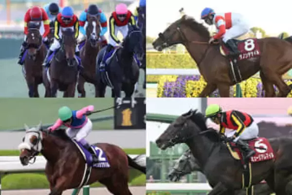 【有馬記念 見どころ】メモリアルイヤーのグランプリは何かが起こる！？