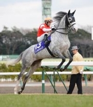 ゴールドシップ まるで怪獣！？ 出遅れ、爆走、ロングスパート... 破天荒な走りが心を掴む【思い出に残る有馬記念】