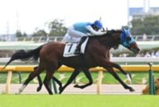 【朝日杯FS】デイリー杯2歳S覇者アドマイヤクワッズ 無傷の3連勝で2歳マイル王へ