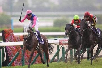 【宝塚記念】メイショウタバルが連覇達成！豪雨を跳ね飛ばして達成した史上初の偉業