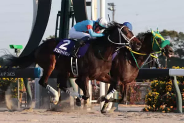 【チャンピオンズC】ダブルハートボンドがダートの新女王に 一介の条件馬を変えた不屈の勝負根性