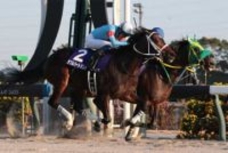 【チャンピオンズC】ダブルハートボンドがダートの新女王に 一介の条件馬を変えた不屈の勝負根性