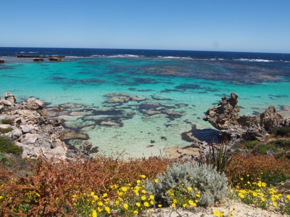 インド洋に浮かぶa級自然保護区 ロットネスト島のオススメビーチ 16年11月14日 エキサイトニュース 2 2