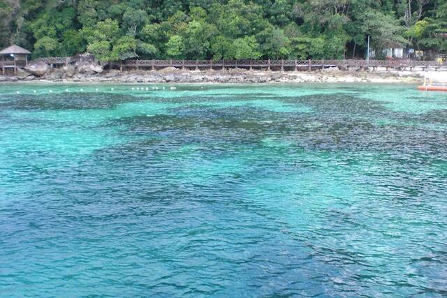ランカウイ島から行く魚やサメと泳ぐ美しきビーチのパヤ島一日観光 16年11月8日 エキサイトニュース
