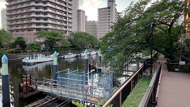 【日本の水辺をぶらり釣り歩き9】もんじゃの街・東京の月島でハゼと遊ぶ