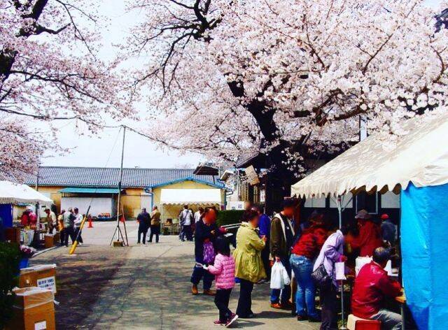 【入場無料】信州の千曲錦（ちくまにしき）酒造で新酒や地元グルメを楽しむ！「春の大感謝祭2026」開催｜長野県