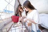 「【滋賀県「RESORT×SPA フューチャーリゾート」がリニューアル】10の無料サービスがうれしい！愛犬と宿泊できるお部屋も」の画像9