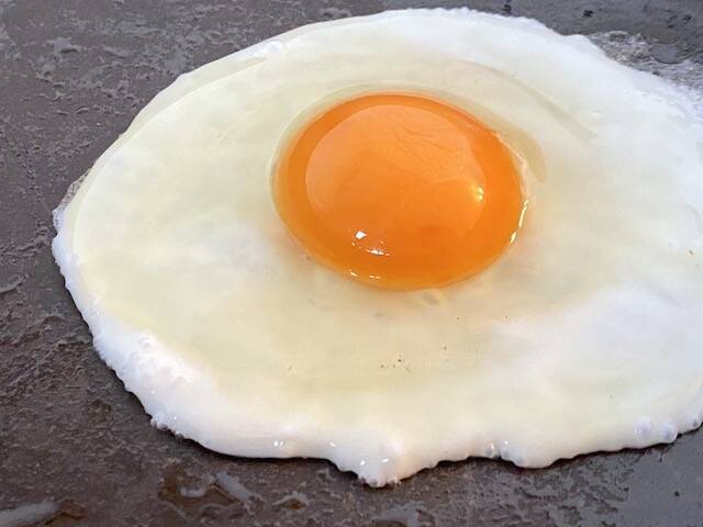 「幸せを呼ぶ青い卵」って知ってる？アローカナの希少な卵食べてみた【編集部ブログ】