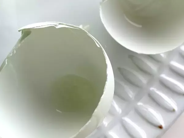 「「幸せを呼ぶ青い卵」って知ってる？アローカナの希少な卵食べてみた【編集部ブログ】」の画像